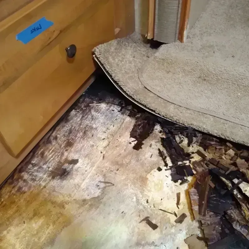 Best Wood Floor Water Damage Service in Malheur County, OR